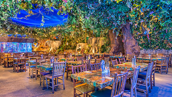 Rainforest cafe deals locations